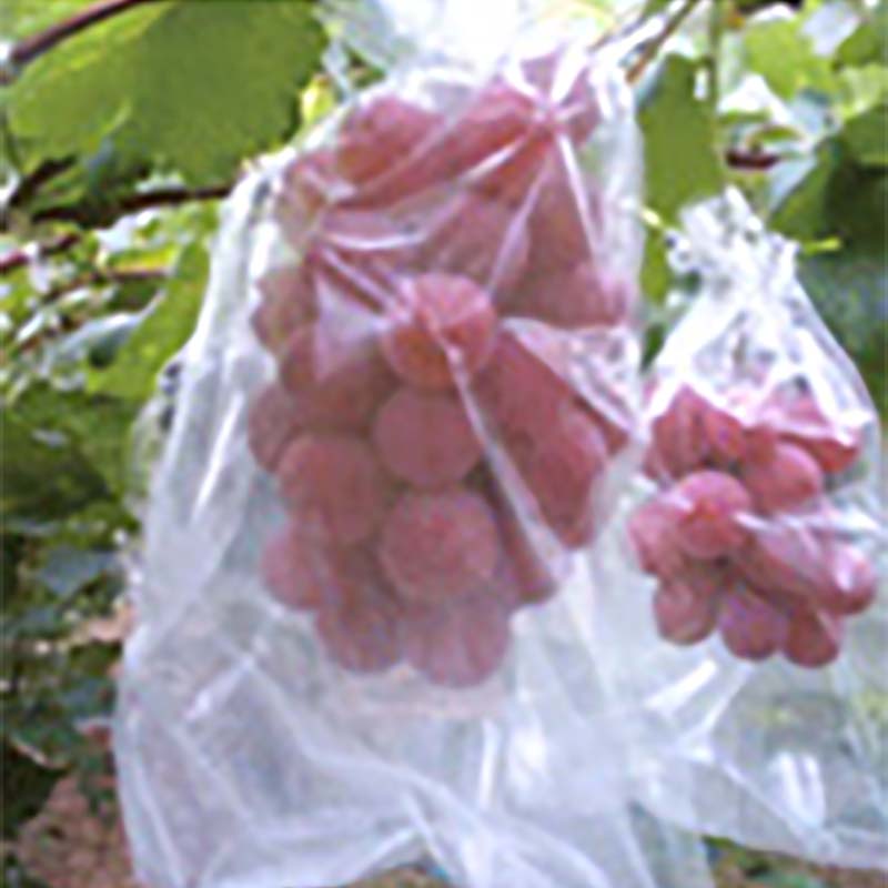 【3000枚】BIKOO果実保護袋一重袋Lサイズ250×350mm美孔び孔果実袋タLPD