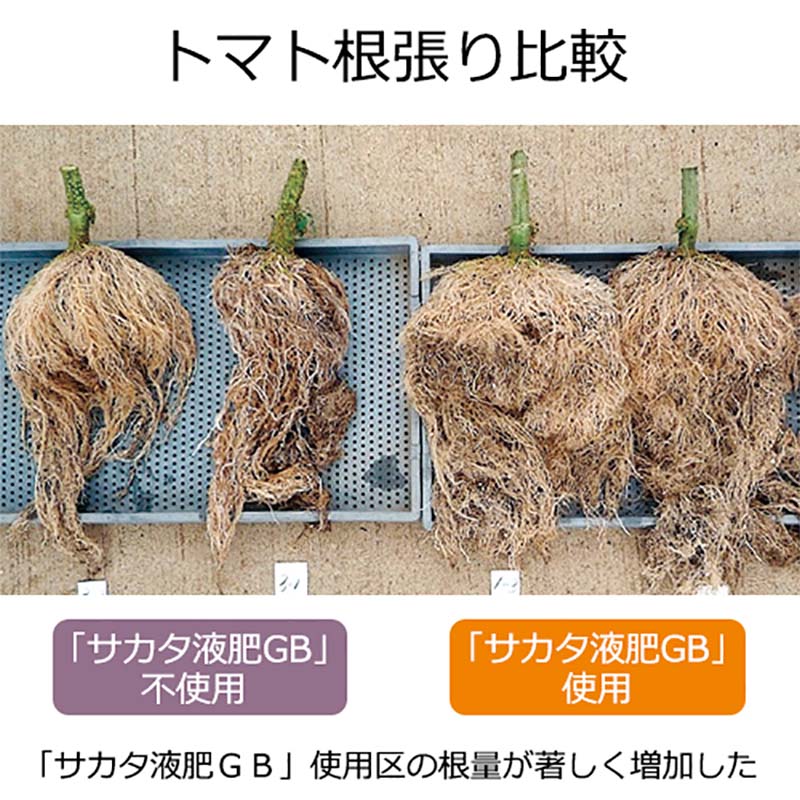 サカタ液肥GB10kg高機能液肥液体肥料サカタのタネ【代引不可】