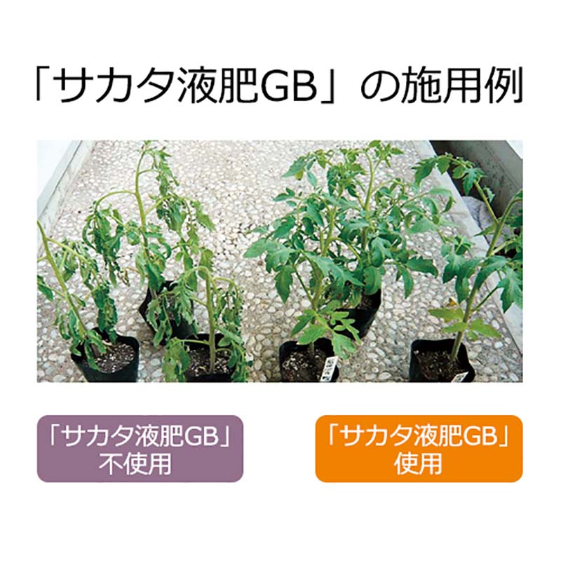 サカタ液肥GB10kg高機能液肥液体肥料サカタのタネ【代引不可】