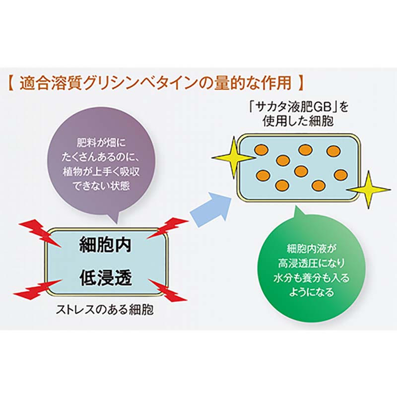 サカタ液肥GB10kg高機能液肥液体肥料サカタのタネ【代引不可】