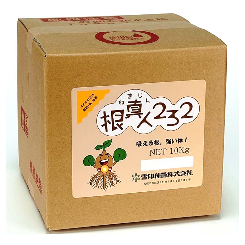 1等最大限度100％尖んがりうしろ側社会的運動6月も執り行なう！