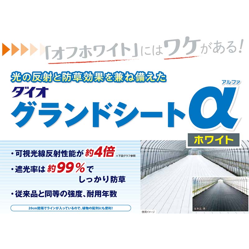 市場 ダイオ 白 100cm×100m アルファ 反射シート α グランドシート 防草シート ホワイト