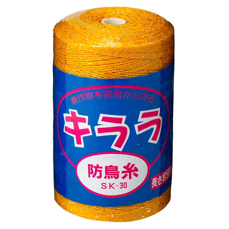 1等最大限度100％尖んがりうしろ側社会的運動6月も為し終える！
