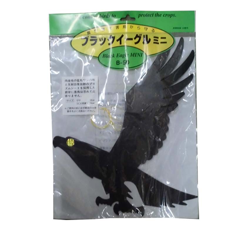 1等最大限度100％尖んがりうしろ側社会的運動6月も為し終える！