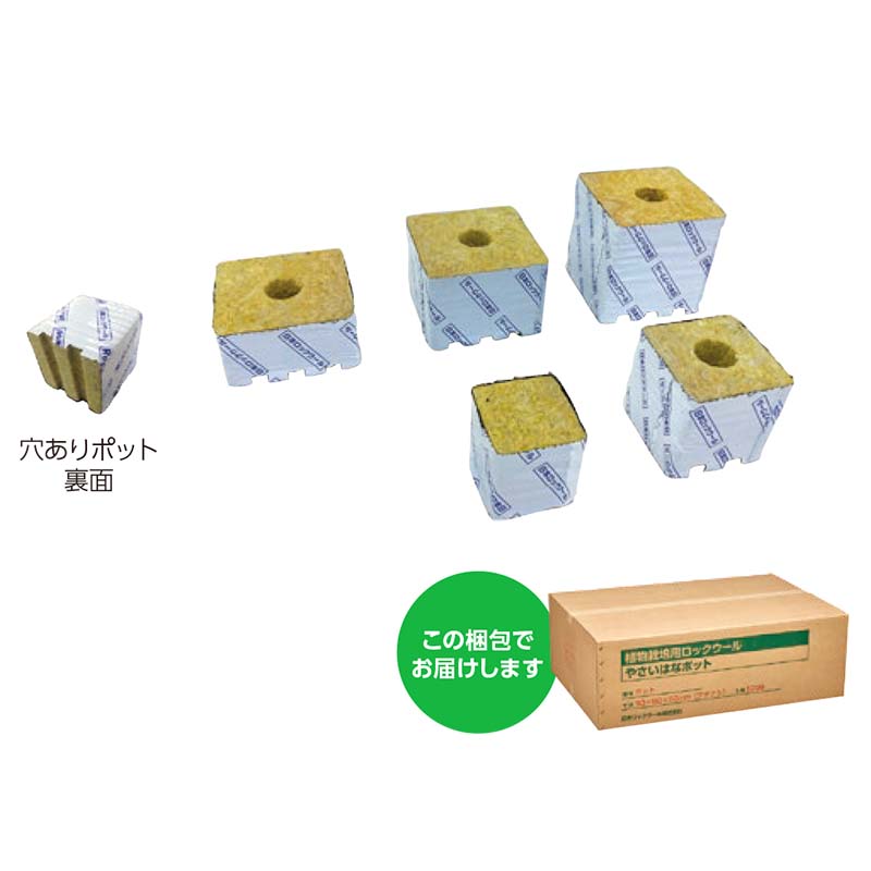1等最大限度100％尖んがりうしろ側社会的運動6月も為し終える！