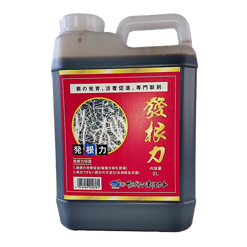 発根剤付き 609771.jpg