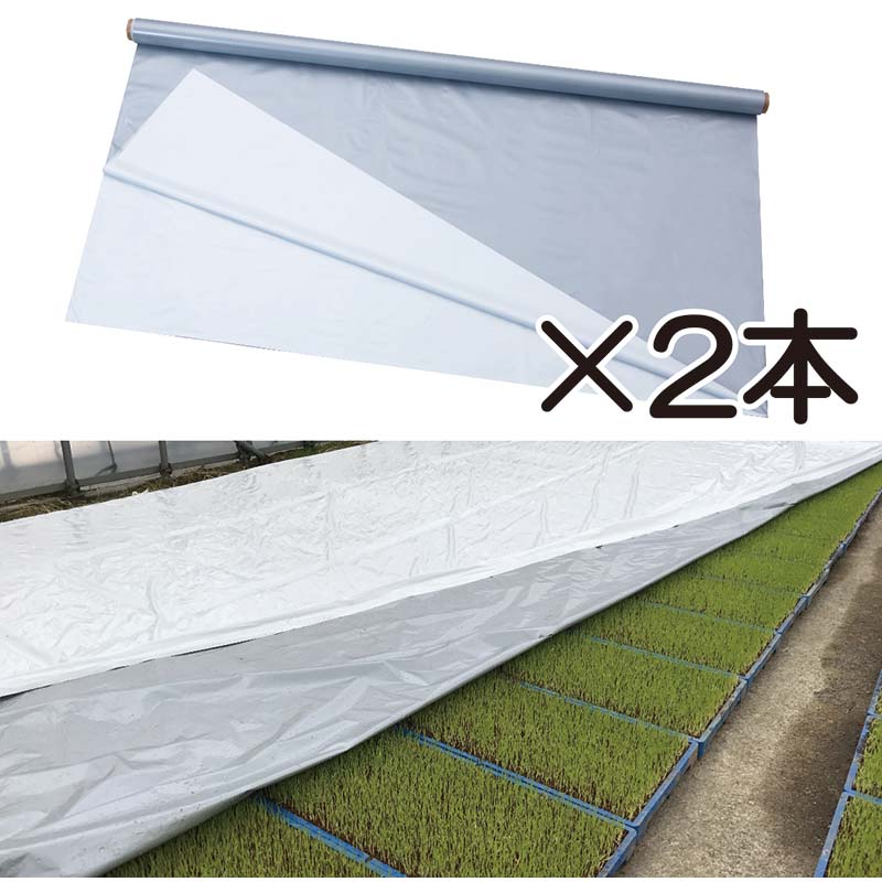 水稲ベタ掛け育苗　ピアレスフィルム　内張り用　TSタイプ　厚み0.12mm　幅315cm×長さ10m　オーダーカット加工商品 水稲ベタ掛け育苗 ピアレスフィルム 内張り用 TSタイプ 厚み0.12mm 幅