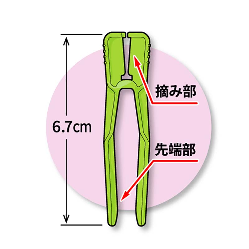 1等最大限度100％尖んがりうしろ側社会的運動6月も為し終える！
