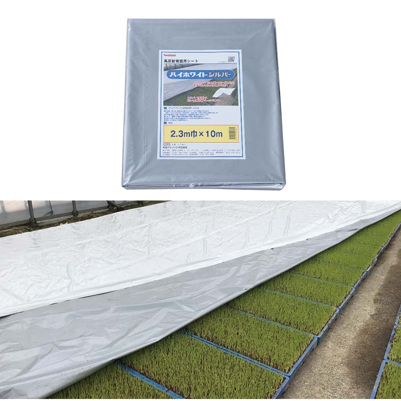 高反射育苗用シート ハイホワイトシルバー 岩谷マテリアル Iwatani 育苗用ハイホワイトシルバー｜農材・フィルム｜製品紹介｜岩谷