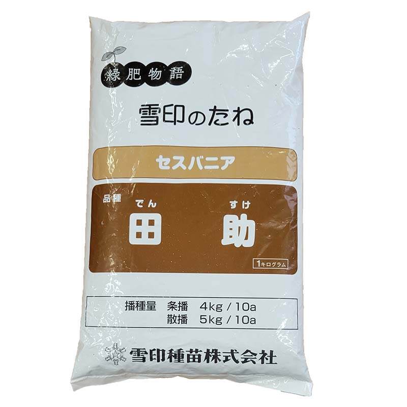 24年　れんげ種子　5kg ギフ_包装】 新発売】 24年 れんげ種子 5kg 暑かっ その他