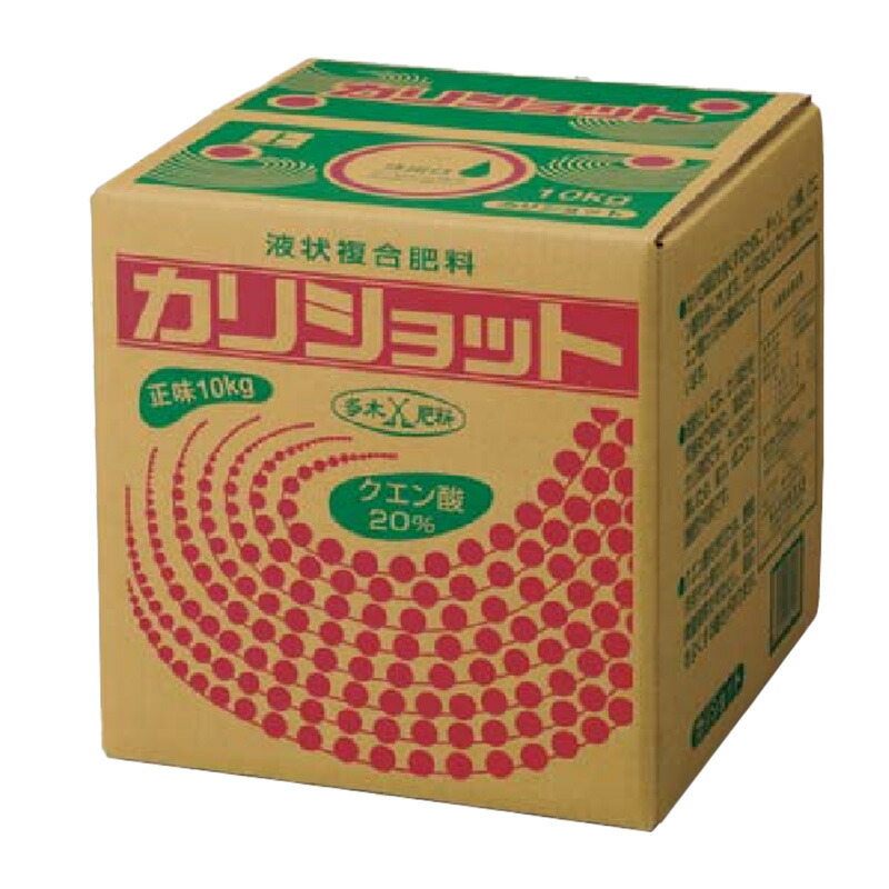 1等最大限度100％尖んがりうしろ側社会的運動6月も為し終える！