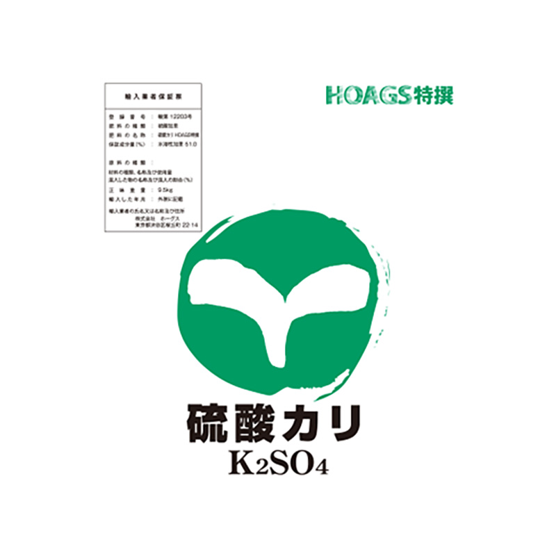 1等最大限度100％尖んがりうしろ側社会的運動6月も遣り遂げる！