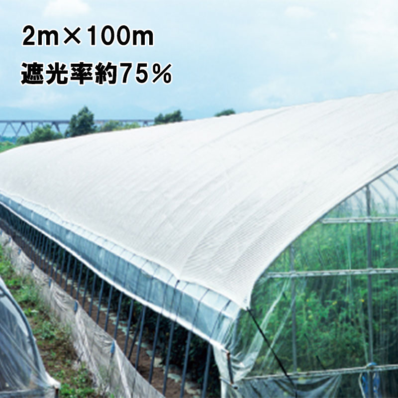 ネット ８ｍ×２ｍ 8H x 24H x 3D x 8 1/2D, 120mm mesh, Solid Braid Knotless (in