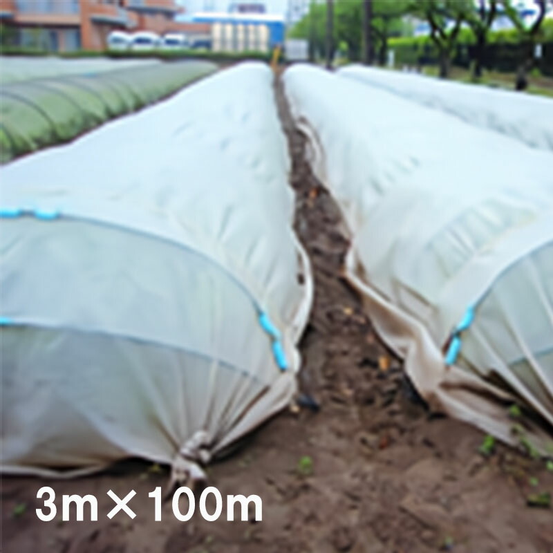 【4/30までエントリーで最大100%Pバック】3m×100m 白(透明) ぬくぬく 遮光ネット ANW10 寒冷紗 JX ANCI サT 代引不可