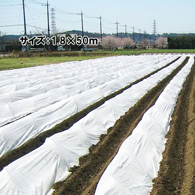 楽天市場】5本 イワタニ 三層 シルバーポリ 水稲用 #80 幅230cm 長さ