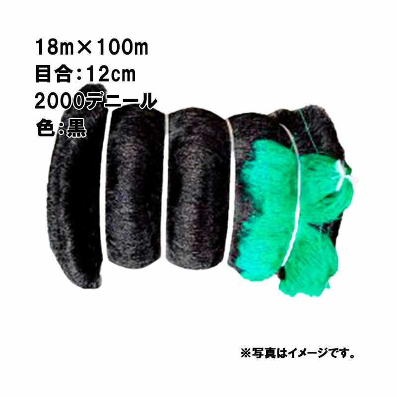 1等最大限度100％尖んがりうしろ側社会的運動6月も執り行なう！