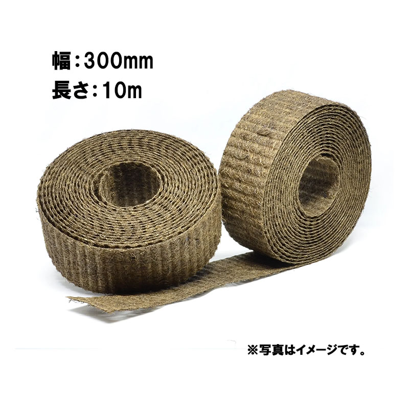 1等最大限度100％尖んがりうしろ側社会的運動6月も執り行なう！