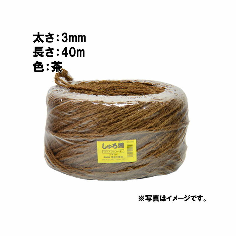 1等最大限度100％尖んがりうしろ側社会的運動6月も為し終える！