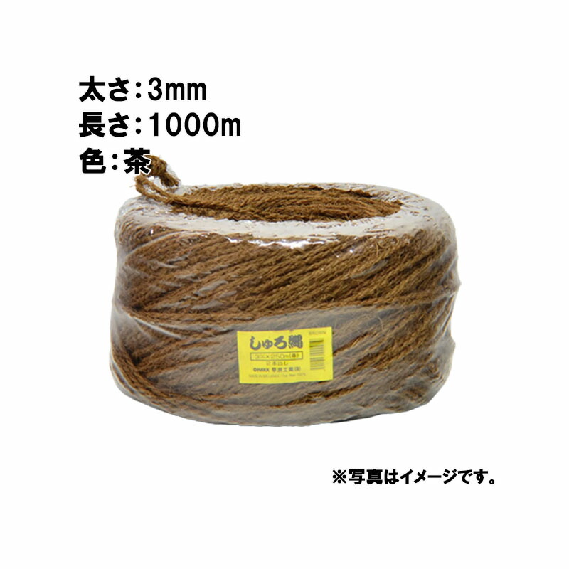 1等最大限度100％尖んがりうしろ側社会的運動6月も為し終える！