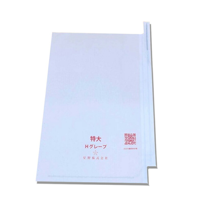 1等最大限度100％尖んがりうしろ側社会的運動6月も為し終える！