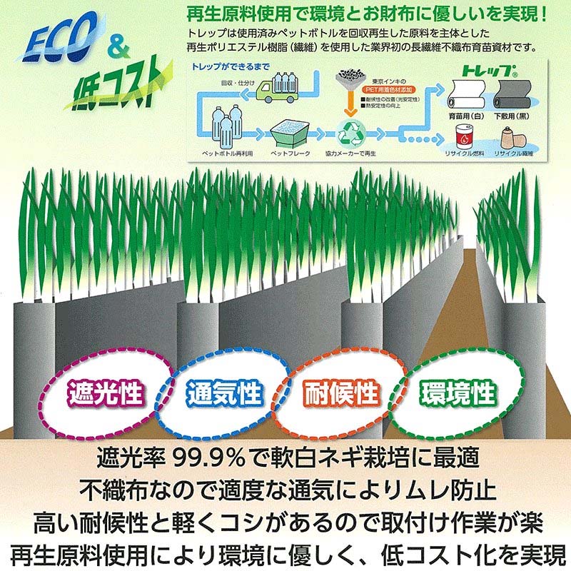 人気ショップが最安値挑戦！】 個人宅配送不可 4本 軟白 ネギ 栽培用遮光シート ねぎパンツ 50cm×100m 黒 長ネギ 長葱 東京インキ タ種  代引不可