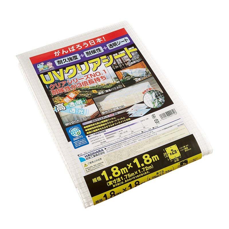 1等最大限度100％尖んがりうしろ側社会的運動6月も為し終える！