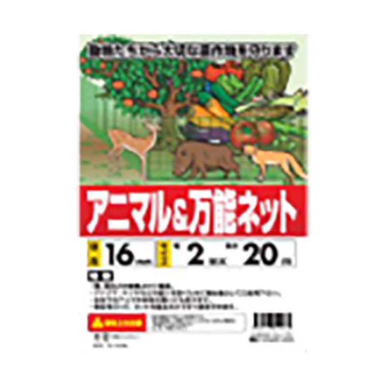 1等最大限度100％尖んがりうしろ側社会的運動6月も為し終える！
