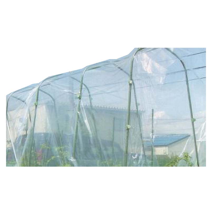 【4/30までエントリーで最大100%Pバック】20枚 菜園用 雨よけシート 0.05mm×3.0m×5m 雨除け シート 園芸 第一ビニール 金TD