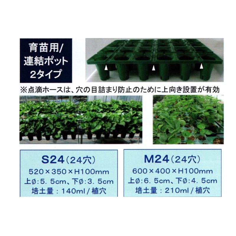 SALE／76%OFF】 連結ポット 育苗用 25個入 24穴 S24 520×350×100mm ランナー採り用 いちご炭疽病対策 セリエ  個人宅配送不可 代引不可 whitesforracialequity.org