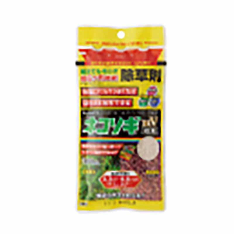 1等最大限度100％尖んがりうしろ側社会的運動6月も執り行なう！