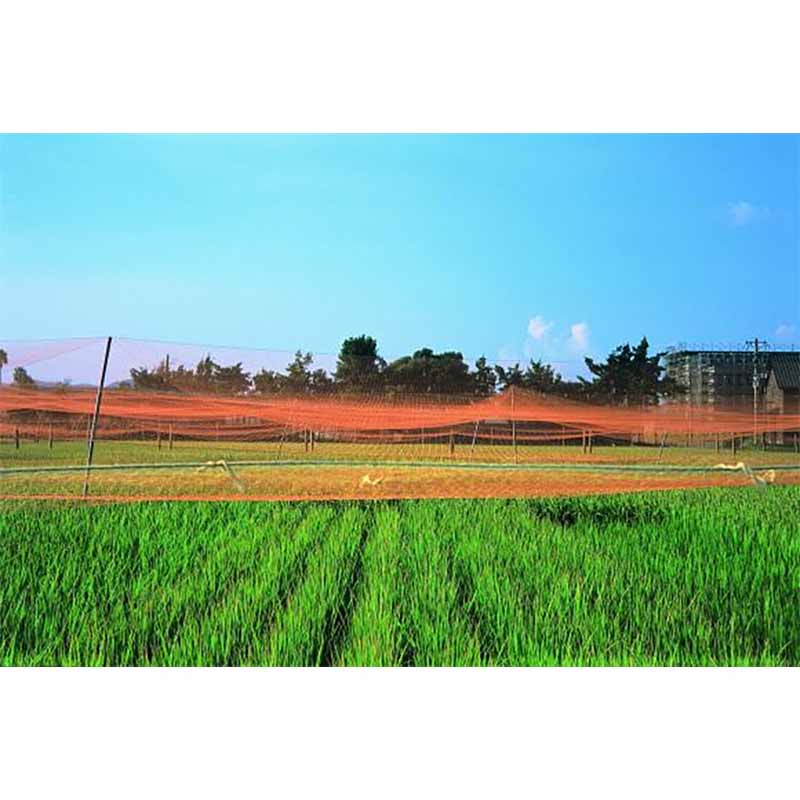 PE防鳥網