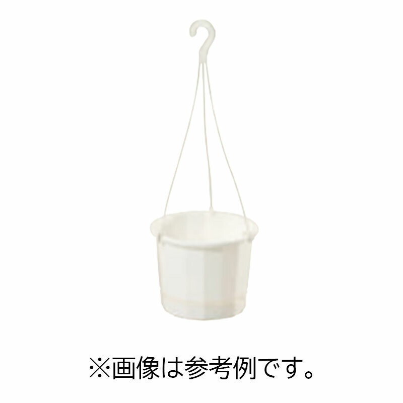 1等最大限度100％尖んがりうしろ側社会的運動6月も執り行なう！
