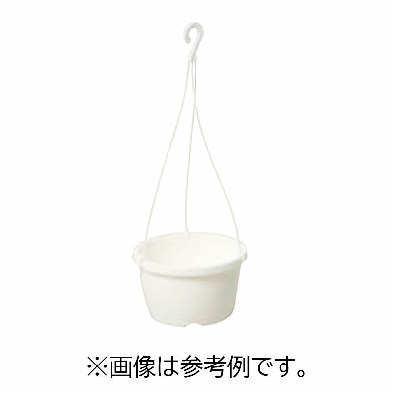 1等最大限度100％尖んがりうしろ側社会的運動6月も執り行なう！