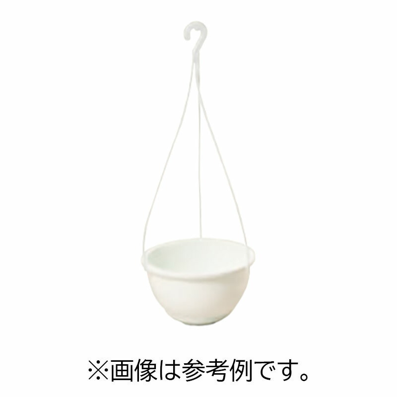 1等最大限度100％尖んがりうしろ側社会的運動6月も執り行なう！