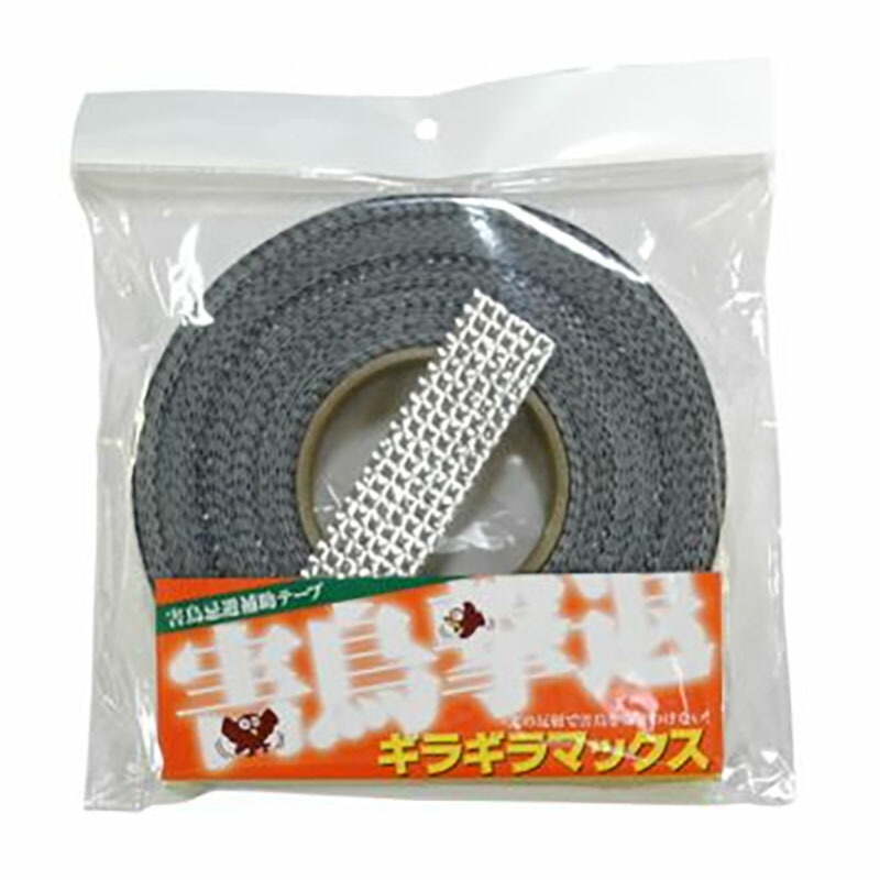 1等最大限度100％尖んがりうしろ側社会的運動6月も執り行なう！