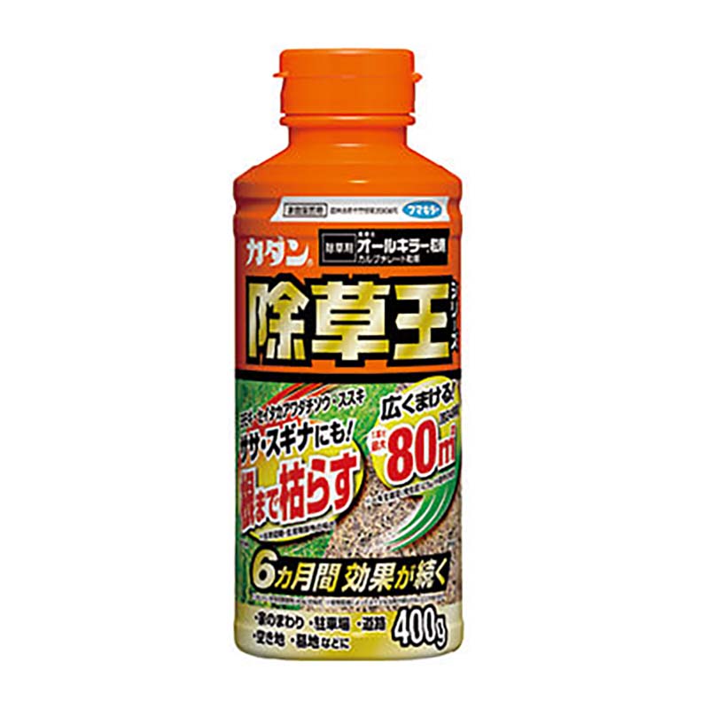 1等最大限度100％尖んがりうしろ側社会的運動6月も執り行なう！