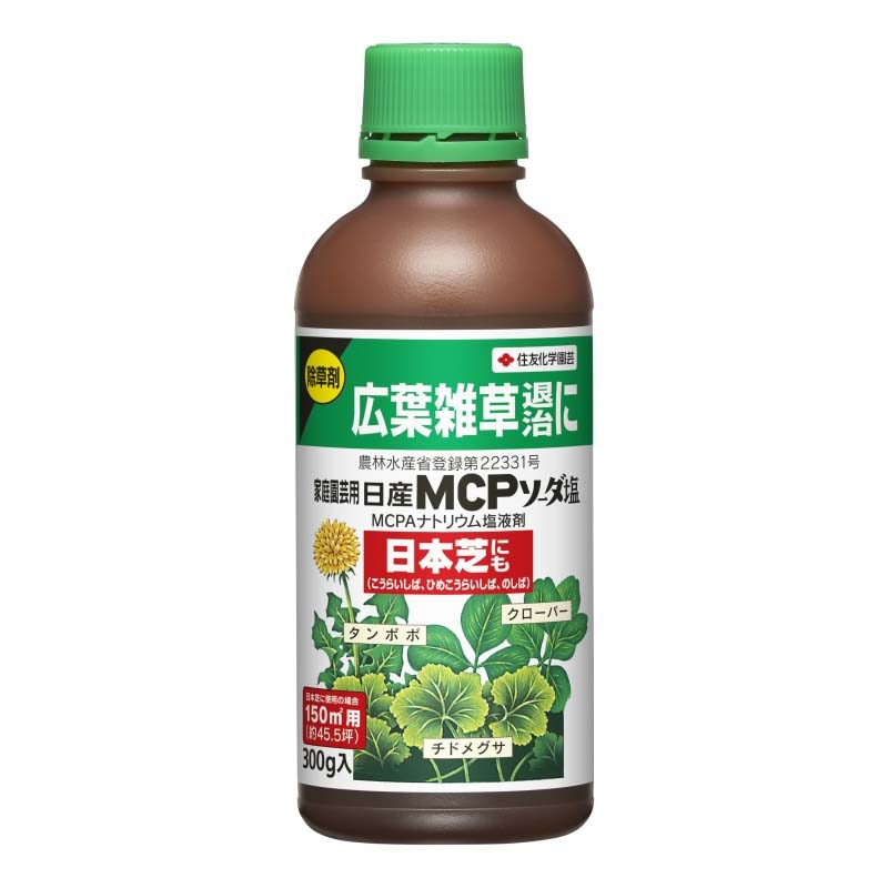 1等最大限度100％尖んがりうしろ側社会的運動6月も執り行なう！