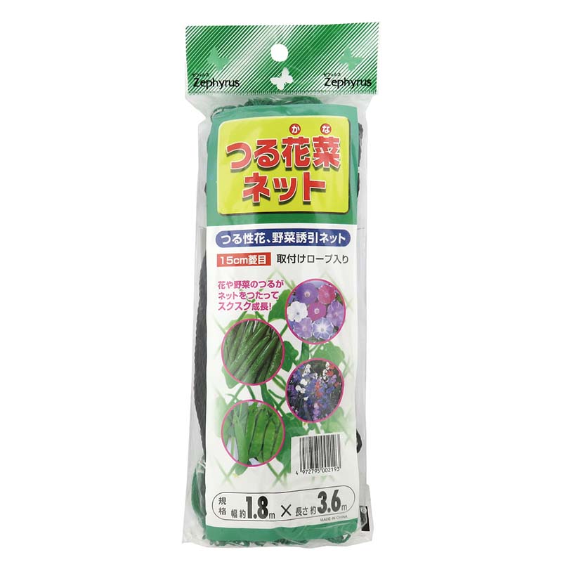1等最大限度100％尖んがりうしろ側社会的運動6月も為し終える！