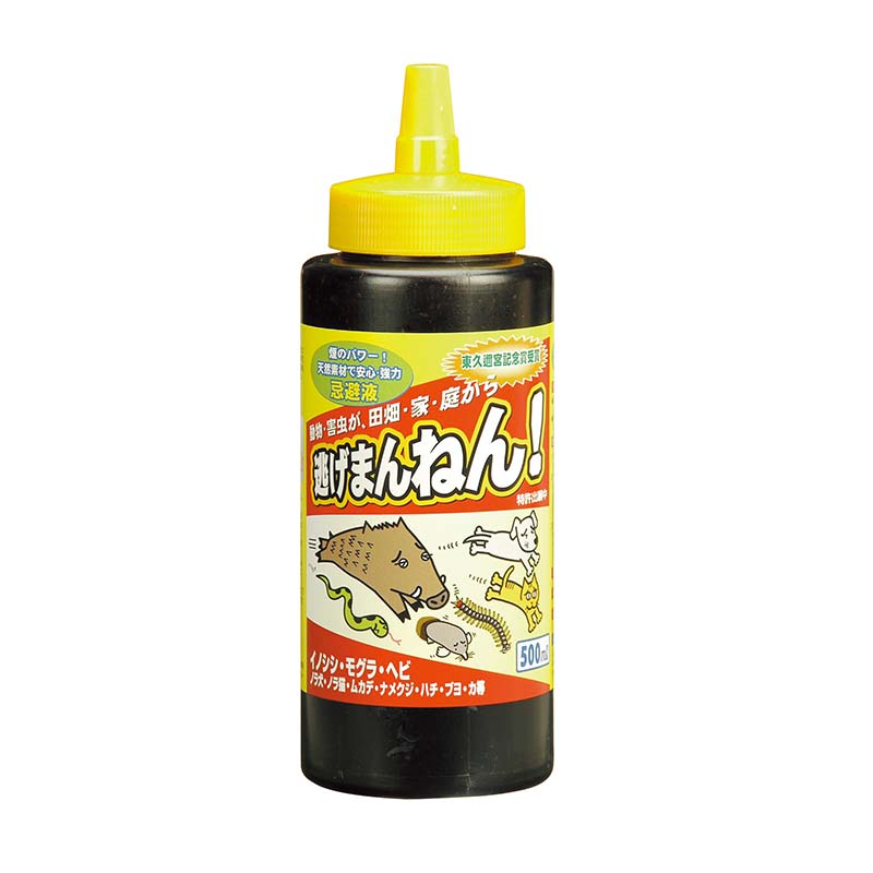 1等最大限度100％尖んがりうしろ側社会的運動6月も為し終える！