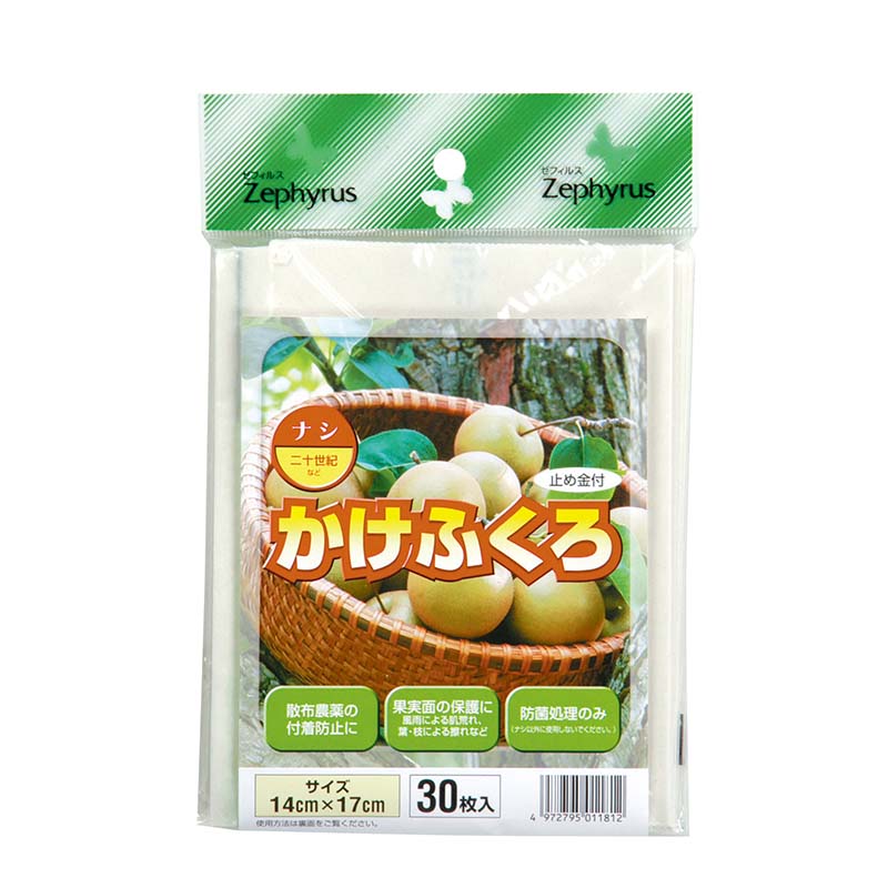 1等最大限度100％尖んがりうしろ側社会的運動6月も為し終える！