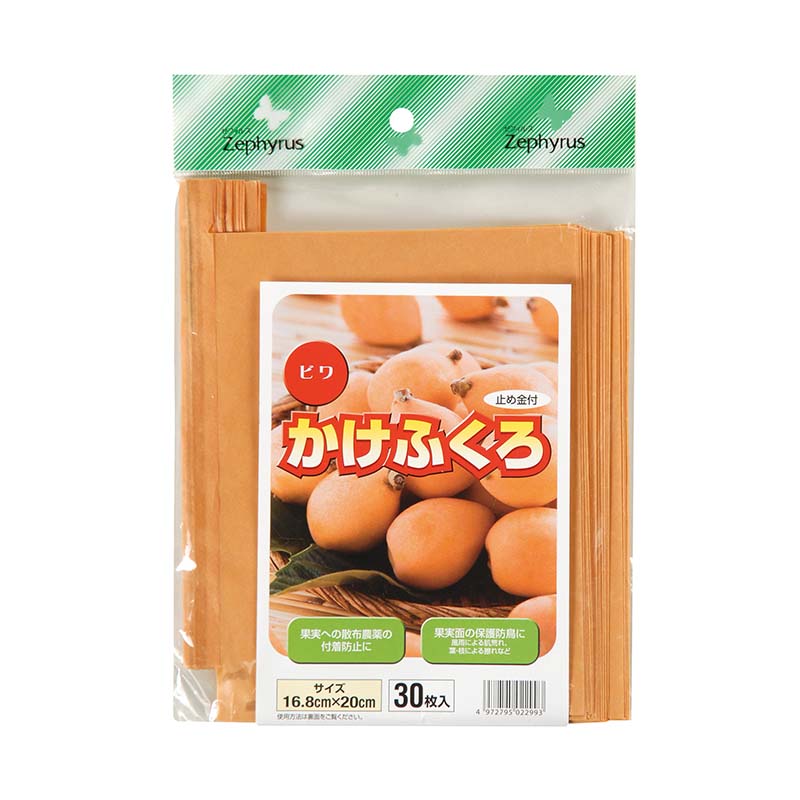 1等最大限度100％尖んがりうしろ側社会的運動6月も執り行なう！