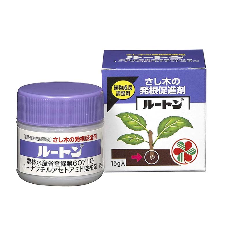 1等最大限度100％尖んがりうしろ側社会的運動6月も遣り遂げる！