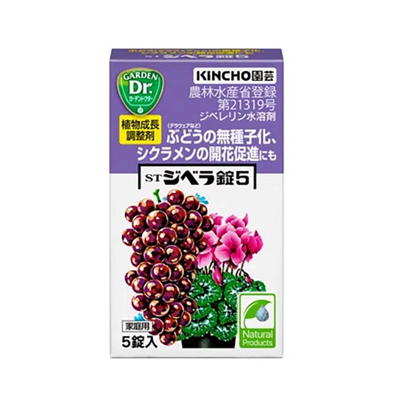 1等最大限度100％尖んがりうしろ側社会的運動6月も遣り遂げる！