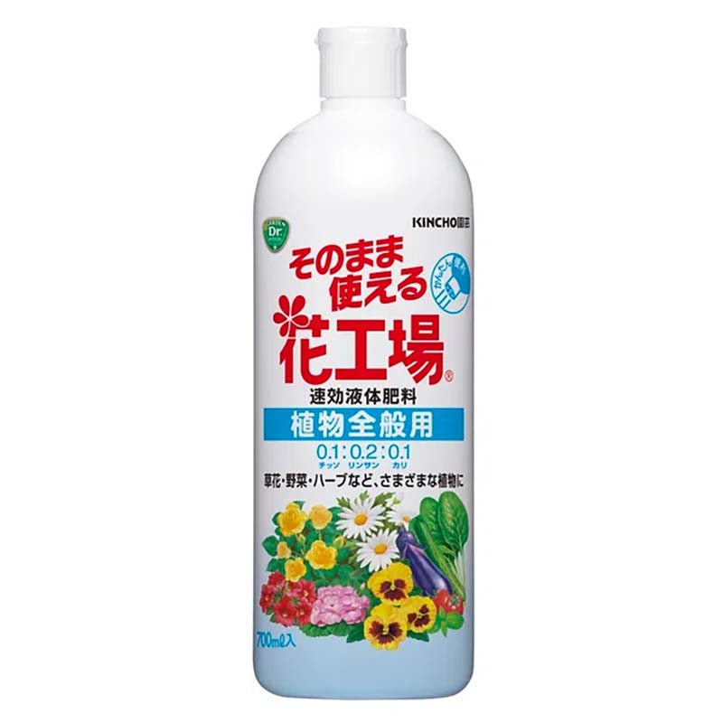 1等最大限度100％尖んがりうしろ側社会的運動6月も為し終える！