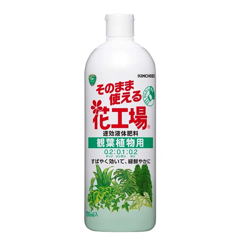 1等最大限度100％尖んがりうしろ側社会的運動6月も為し終える！