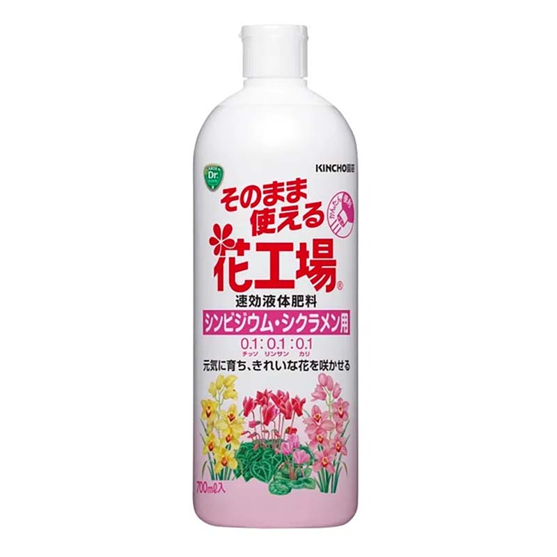 1等最大限度100％尖んがりうしろ側社会的運動6月も為し終える！