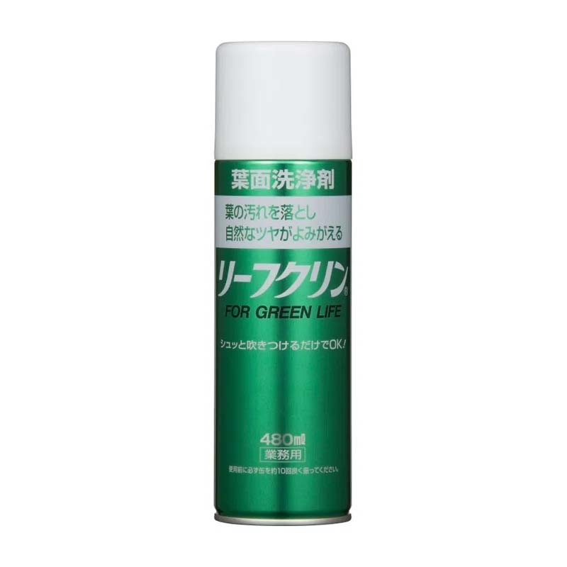 1等最大限度100％尖んがりうしろ側社会的運動6月も為し終える！