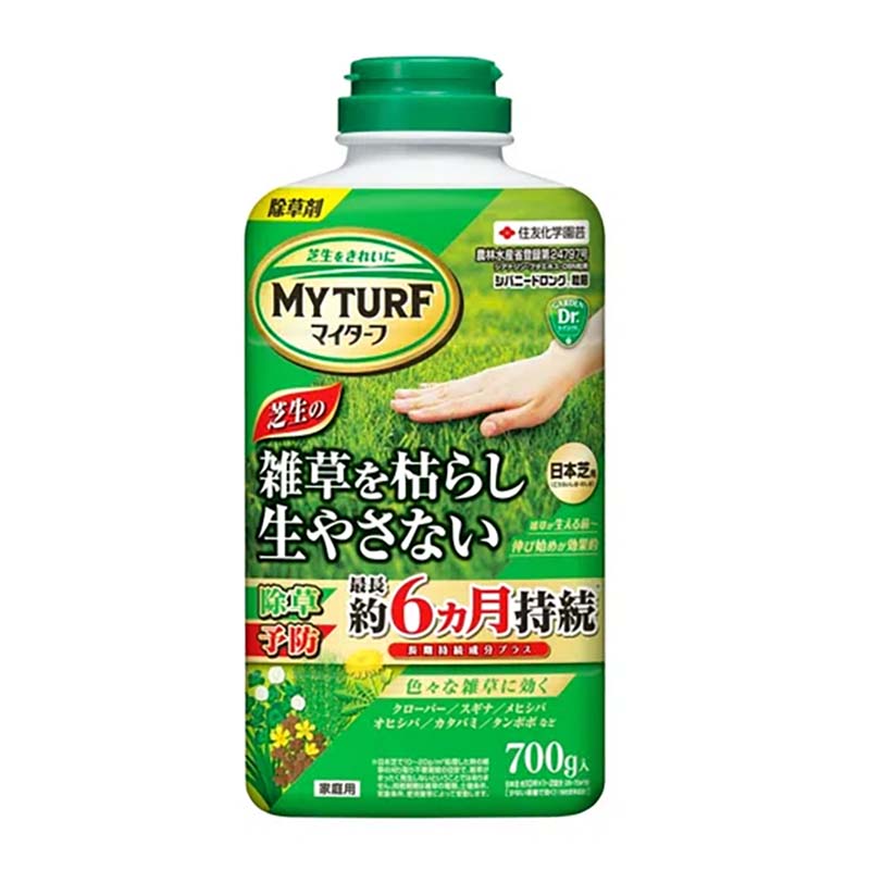 1等最大限度100％尖んがりうしろ側社会的運動6月も執り行なう！
