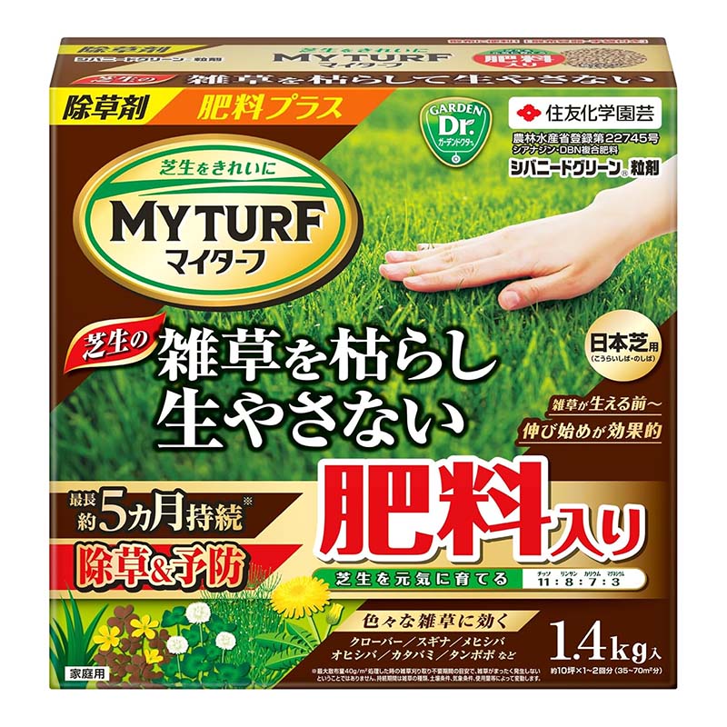 1等最大限度100％尖んがりうしろ側社会的運動6月も執り行なう！