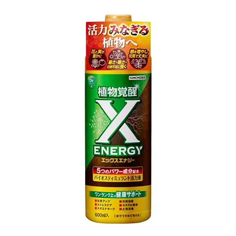 1等最大限度100％尖んがりうしろ側社会的運動6月も為し終える！